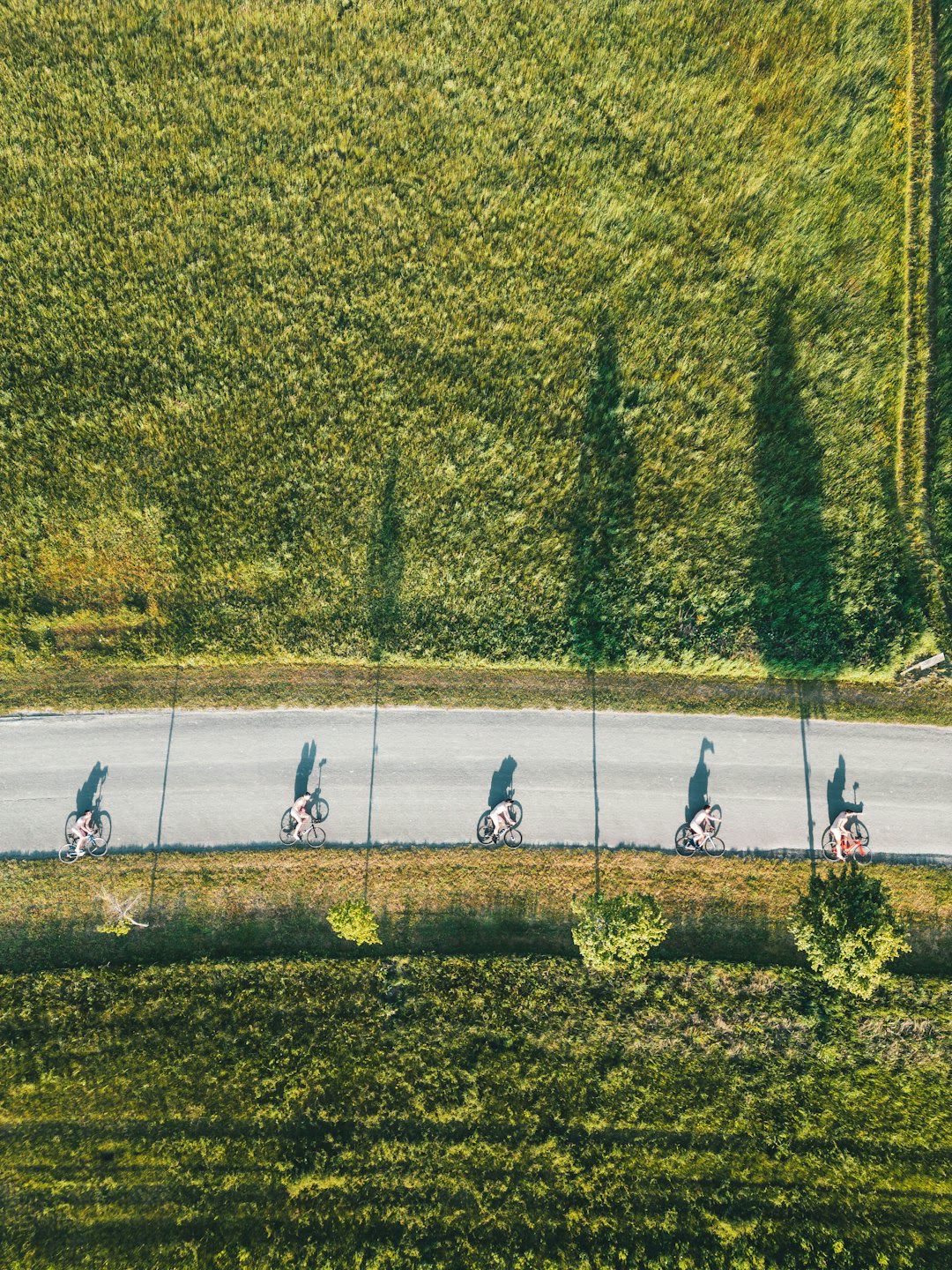 Cyclists racing through a mountain landscape at a sports tourism event